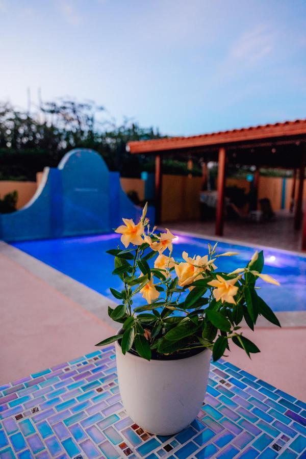 Villa Encantada Aruba ノールト エクステリア 写真
